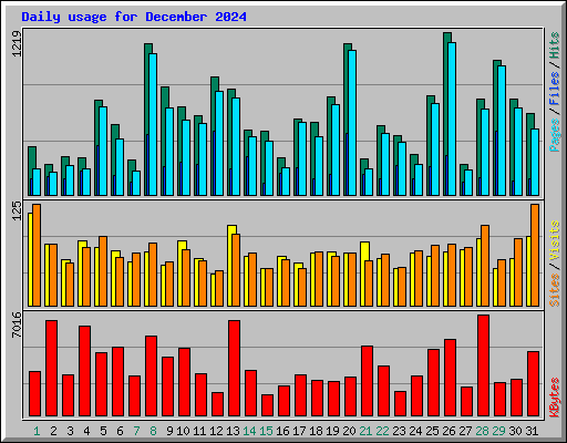 Daily usage for December 2024
