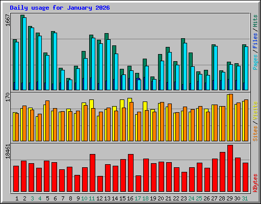 Daily usage for January 2026