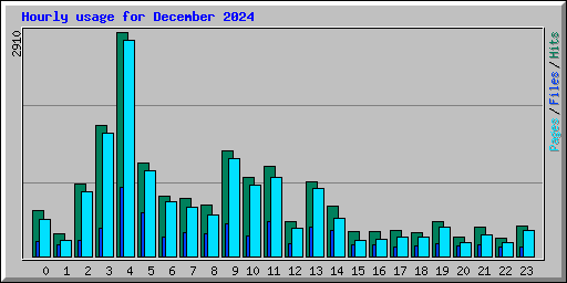 Hourly usage for December 2024