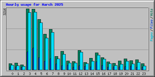 Hourly usage for March 2025
