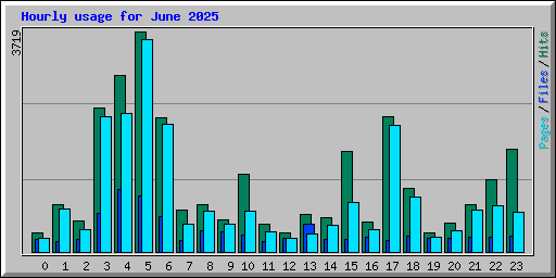 Hourly usage for June 2025