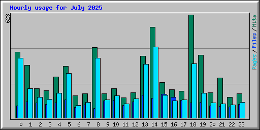 Hourly usage for July 2025