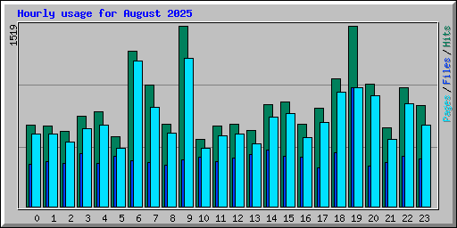 Hourly usage for August 2025