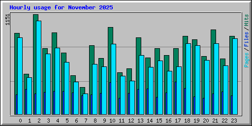 Hourly usage for November 2025