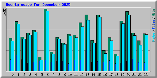 Hourly usage for December 2025