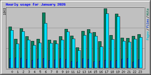 Hourly usage for January 2026