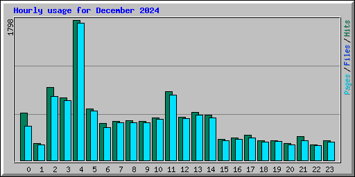 Hourly usage for December 2024
