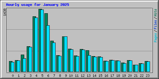 Hourly usage for January 2025