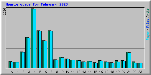 Hourly usage for February 2025