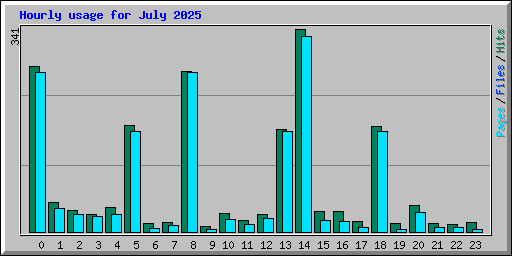 Hourly usage for July 2025