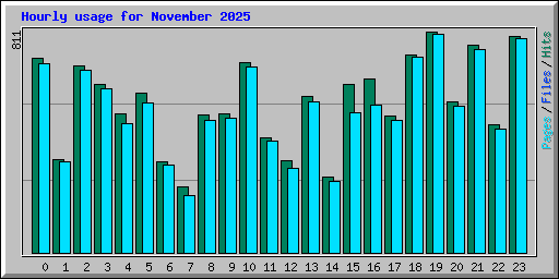 Hourly usage for November 2025