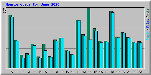 Hourly usage for June 2026