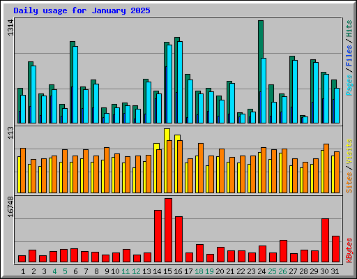 Daily usage for January 2025