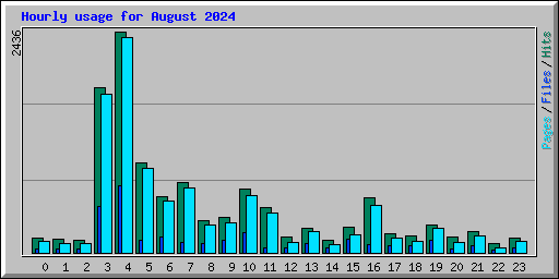Hourly usage for August 2024