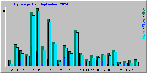 Hourly usage for September 2024