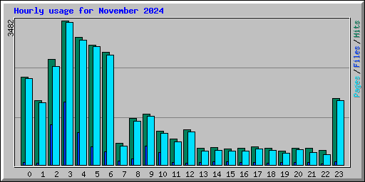 Hourly usage for November 2024