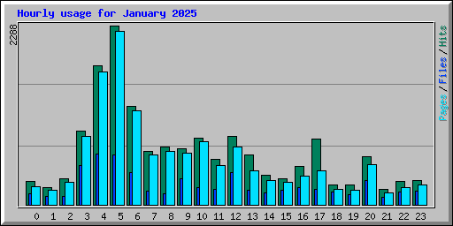 Hourly usage for January 2025