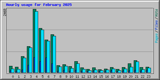 Hourly usage for February 2025