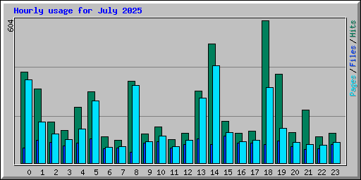Hourly usage for July 2025