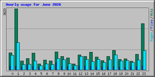 Hourly usage for June 2026