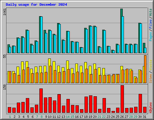 Daily usage for December 2024