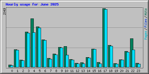 Hourly usage for June 2025