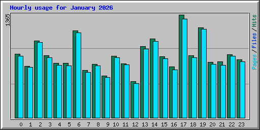 Hourly usage for January 2026