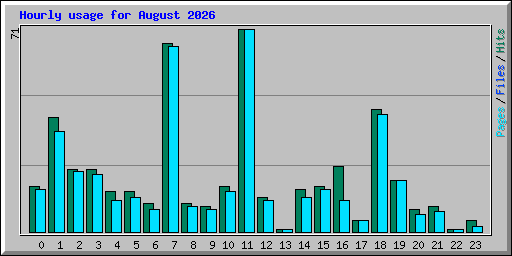 Hourly usage for August 2026